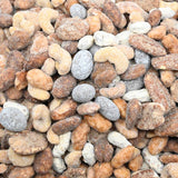Winter Gift Bag - Nutcracker Blend Mixed Nuts