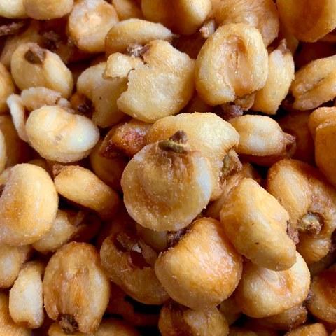 Corn Nuggets - Jumbo - Roasted - Salted - Napa Nuts